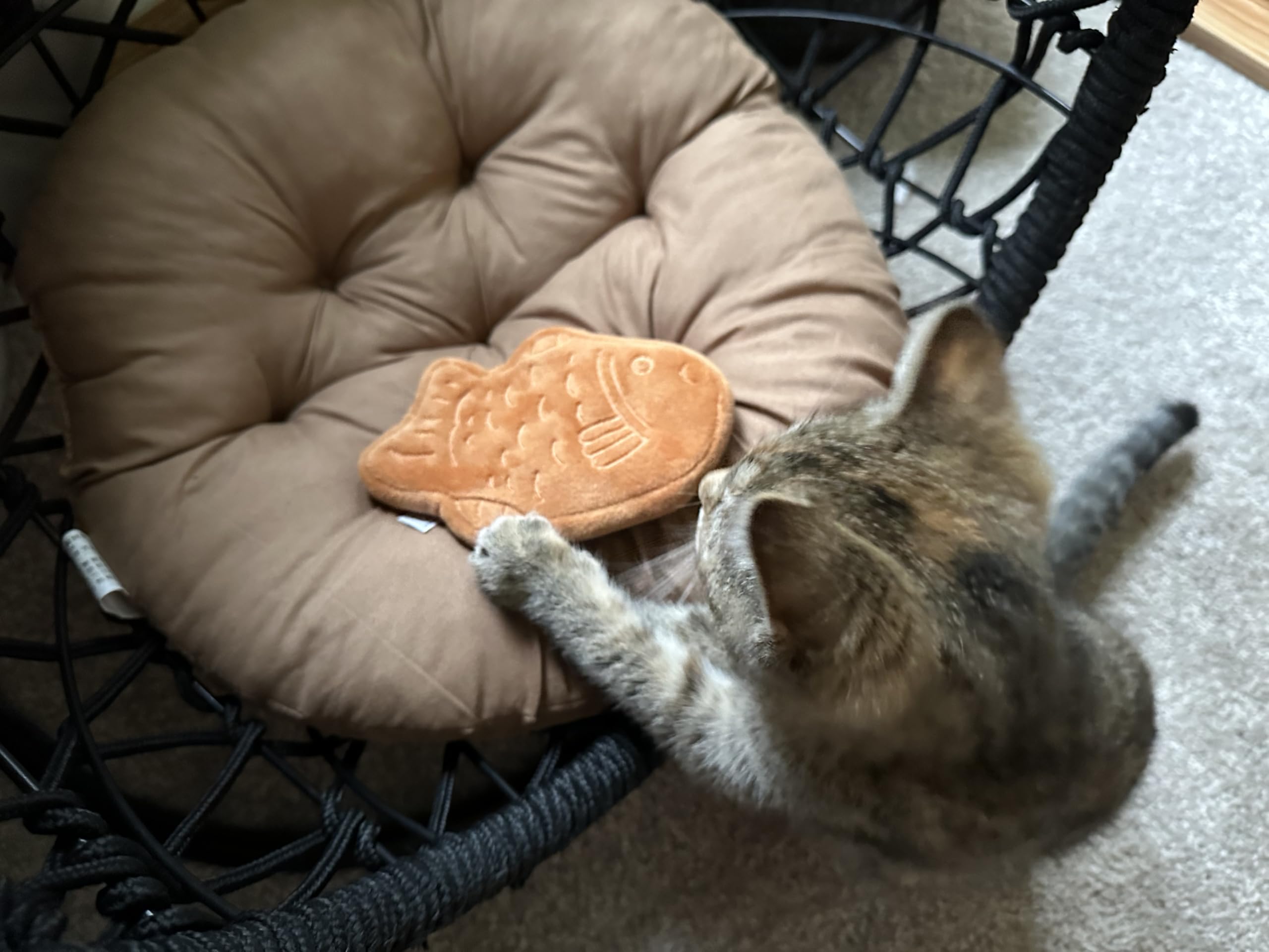 munchiecat Juguete de peluche japonés de menta gatera relleno de hierba gatera orgánica, regalo estilo Wagashi para gatos y gatitos, 2 piezas (Taiyaki)