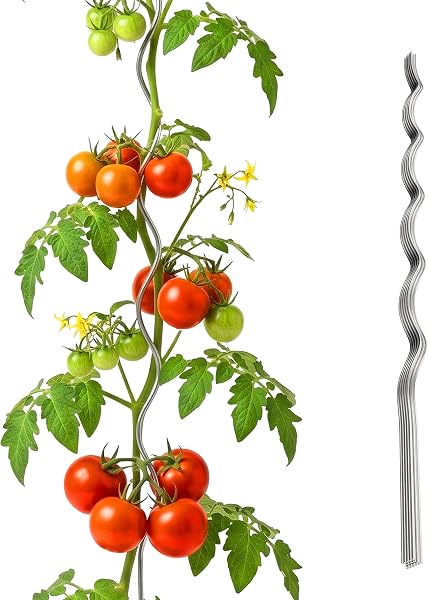 Relaxdays Tuteurs spiralés tomates, Lot de 20, 150 cm, Ø 5 mm, Acier zingué, Argent