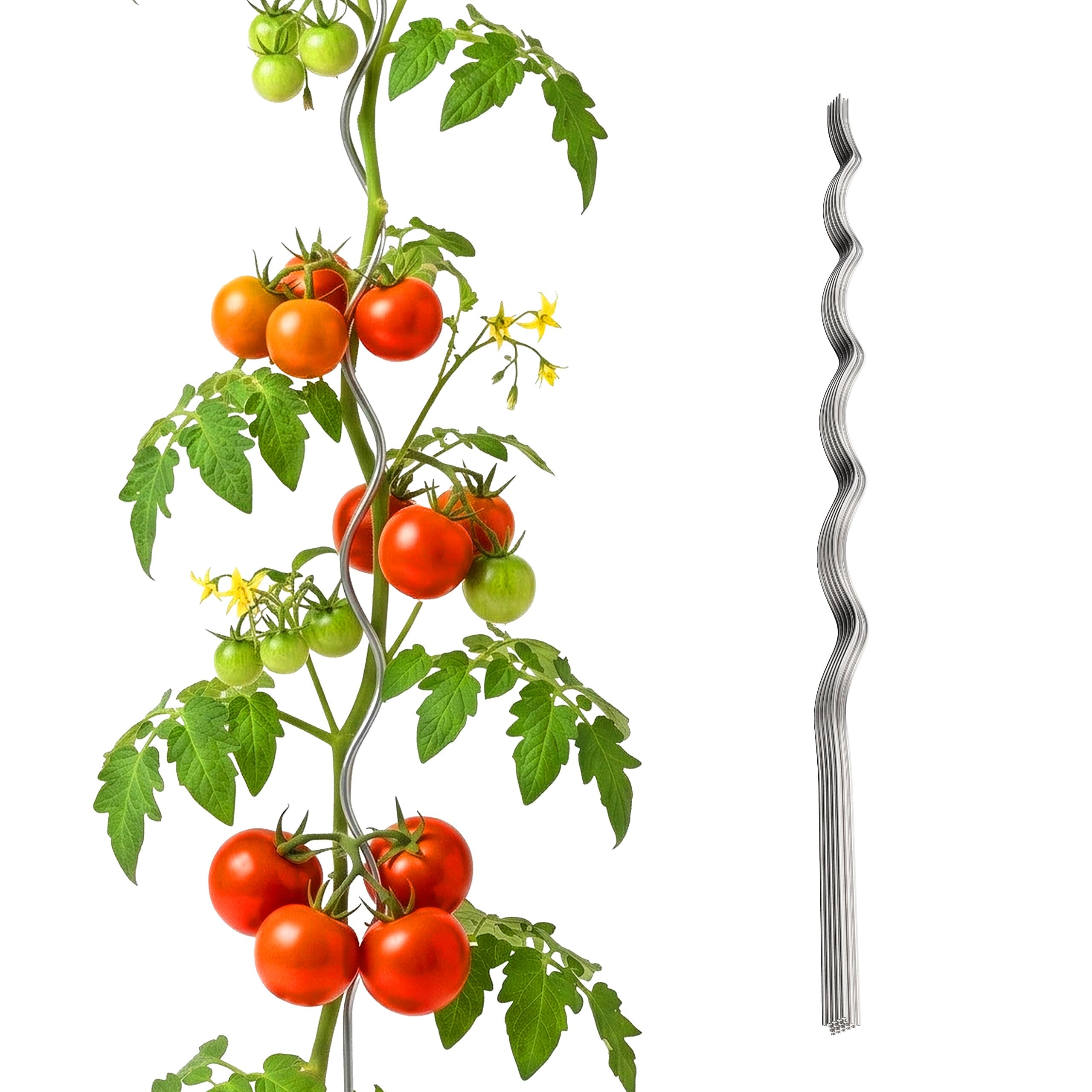 Relaxdays Supporto a Spirale per pomodori, Set da 10, Altezza 150 cm, Ø 5 mm, Metallo zincato