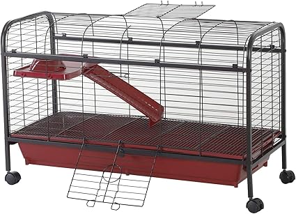 amazon small animal cage