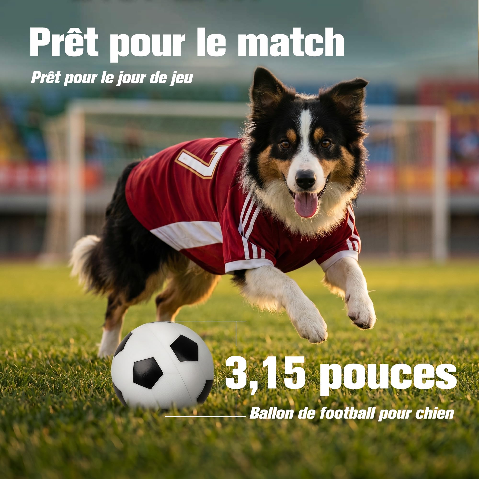Pet Prime Balle Interactive pour Chien, Balle Football Coupe du Monde Rechargeable USB, 2 Modes détection Tactile, résistante intérieur extérieur