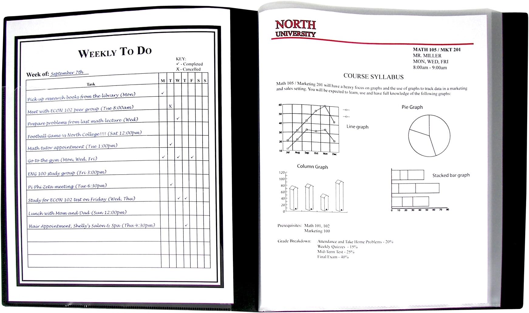C-Line 12-Pocket Bound Sheet Protector Presentation Book, 24-Page Capacity, For 8.5 x 11-Inch Inserts, Black (33120)