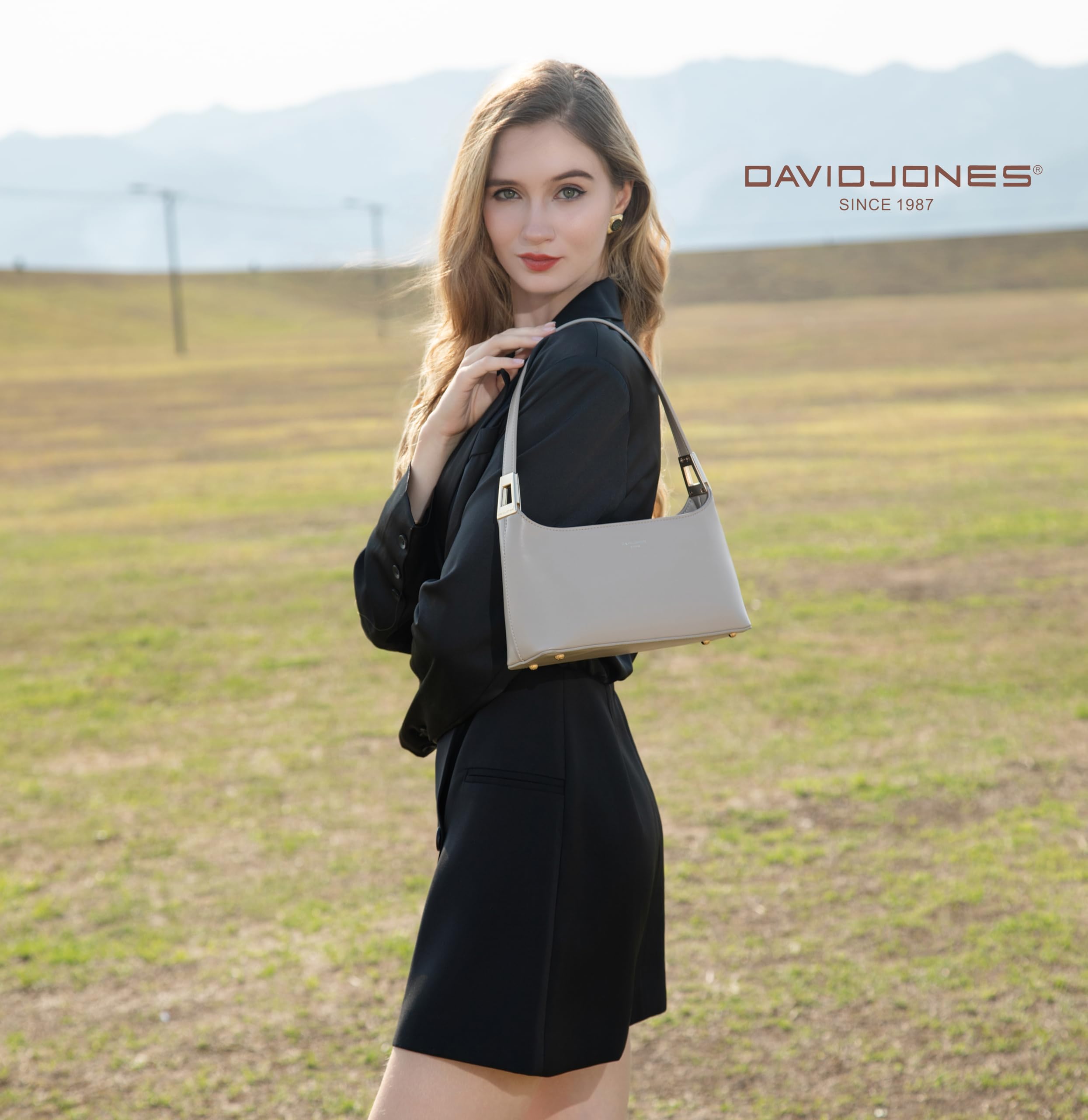 David Jones - Sac Porté Epaule Femme - Sac à Main Porté Sous Epaule Bras - Bandoulière Similicuir PU Rigide - Sac de Ville Mode Tendance Elegant pour Téléphone Portefeuille - Marron Taupe