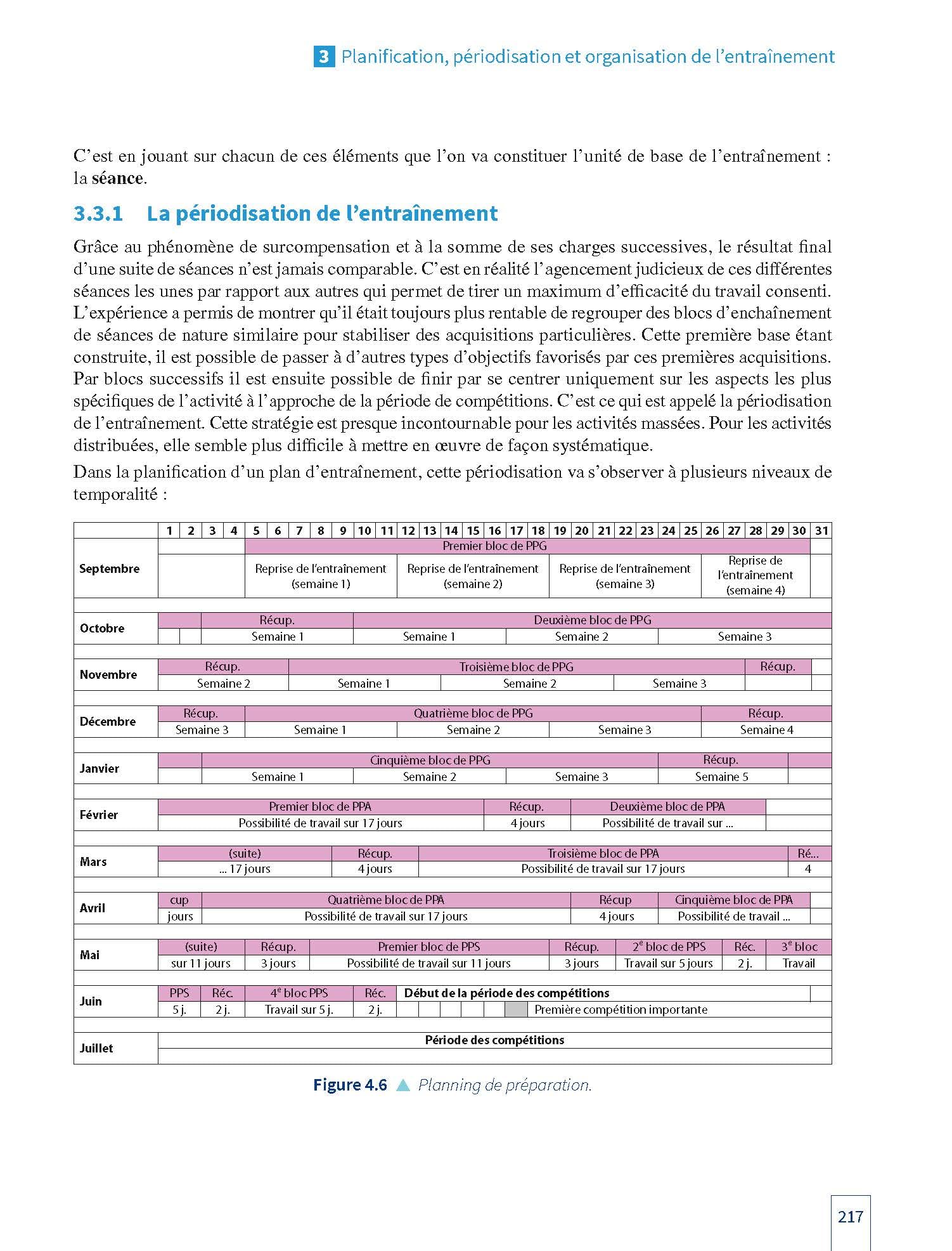 Licence STAPS : Anatomie, physiologie, biomécanique, neurosciences du sport et entraînement