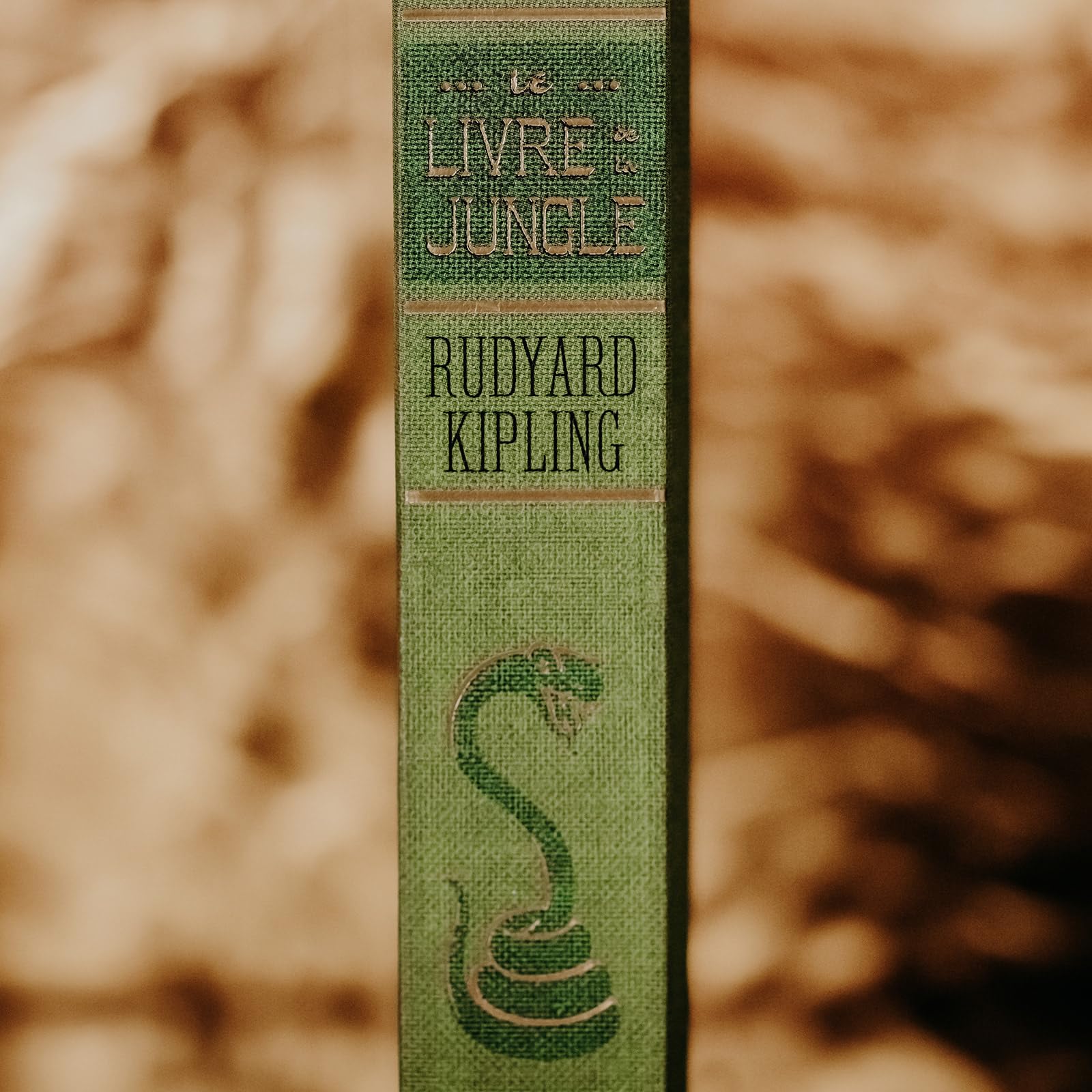 Le livre de la jungle: Illustré et animé par MinaLima