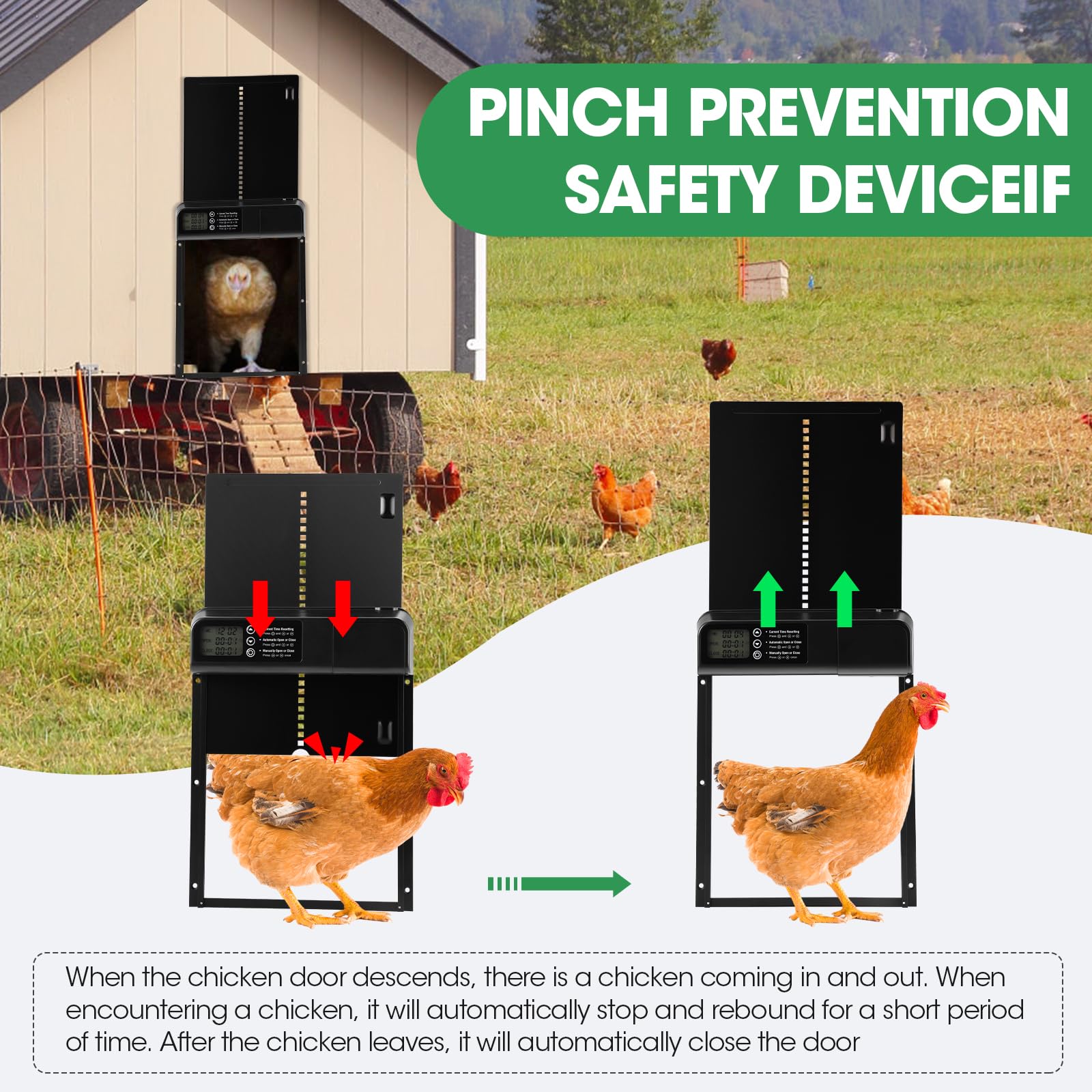 Automatic Chicken Coop Door, Electric Chicken Coop Door, Auto - View #2