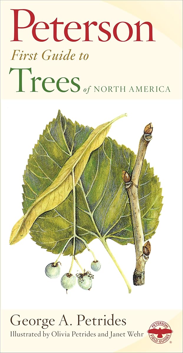 Peterson First Guide To Trees: A beginner-friendly field guide identifying 243 trees across six leaf-type categories, with 200 vivid color illustrations