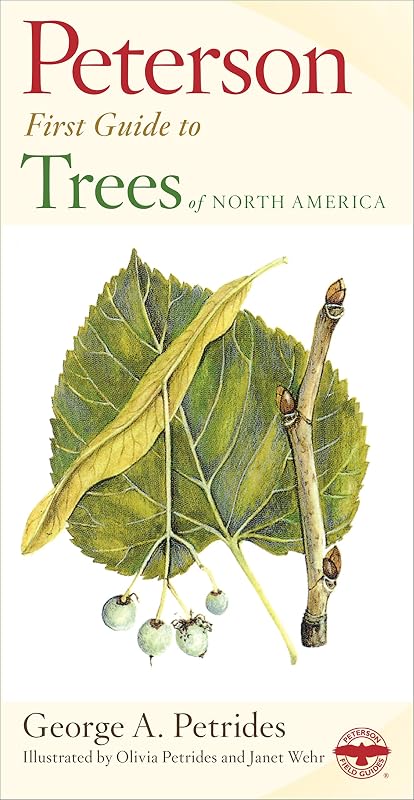 Peterson First Guide To Trees: A beginner-friendly field guide identifying 243 trees across six leaf-type categories, with 200 vivid color illustrations