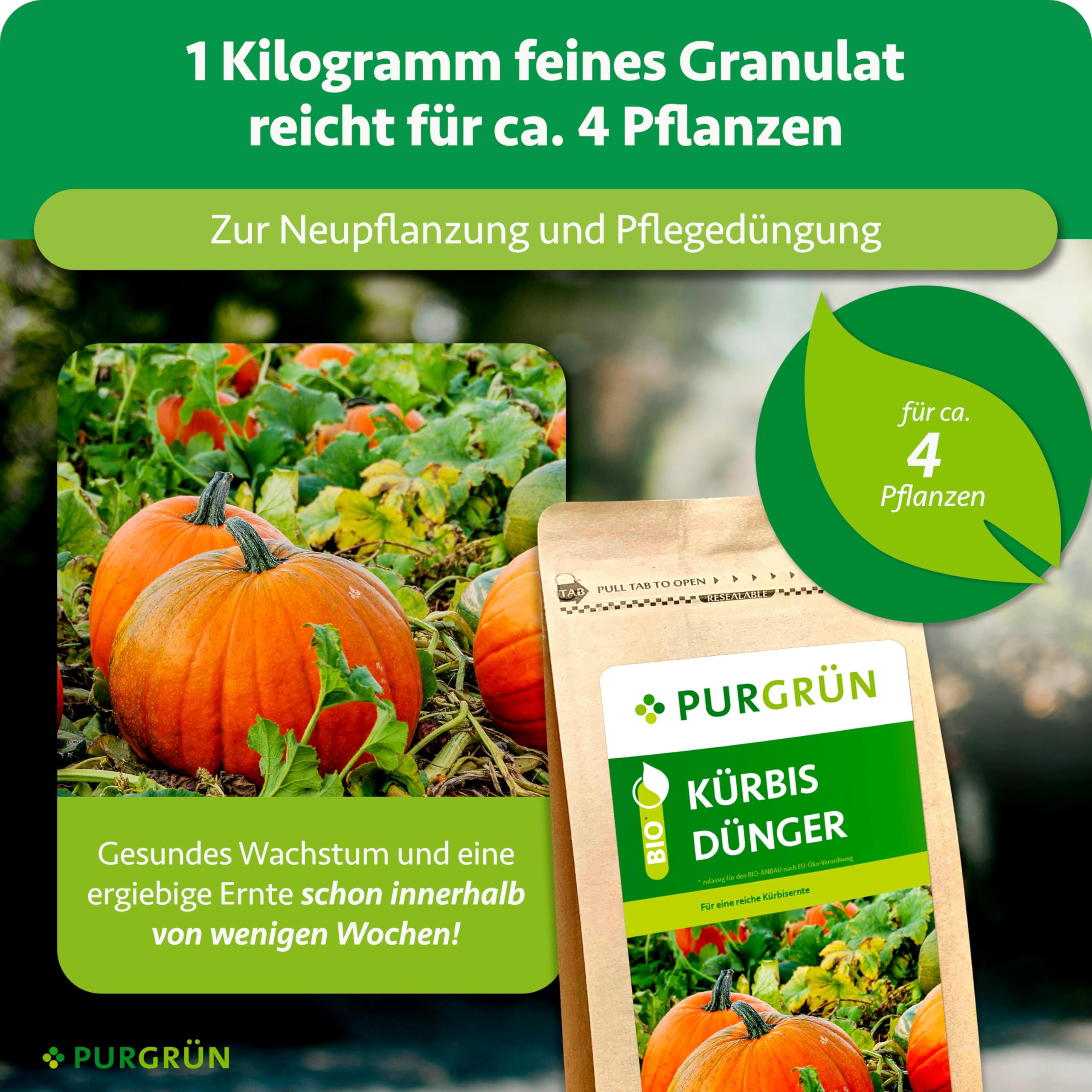 Bio-Kürbis-Dünger 1 kg – Organisch-mineralische Rezeptur – Feinkörniges Krümelgranulat – NPK 6+3+8 – Mit Magnesium für gesunde Pflanzen & prächtige Kürbisse – Verbessert die Bodenqualität