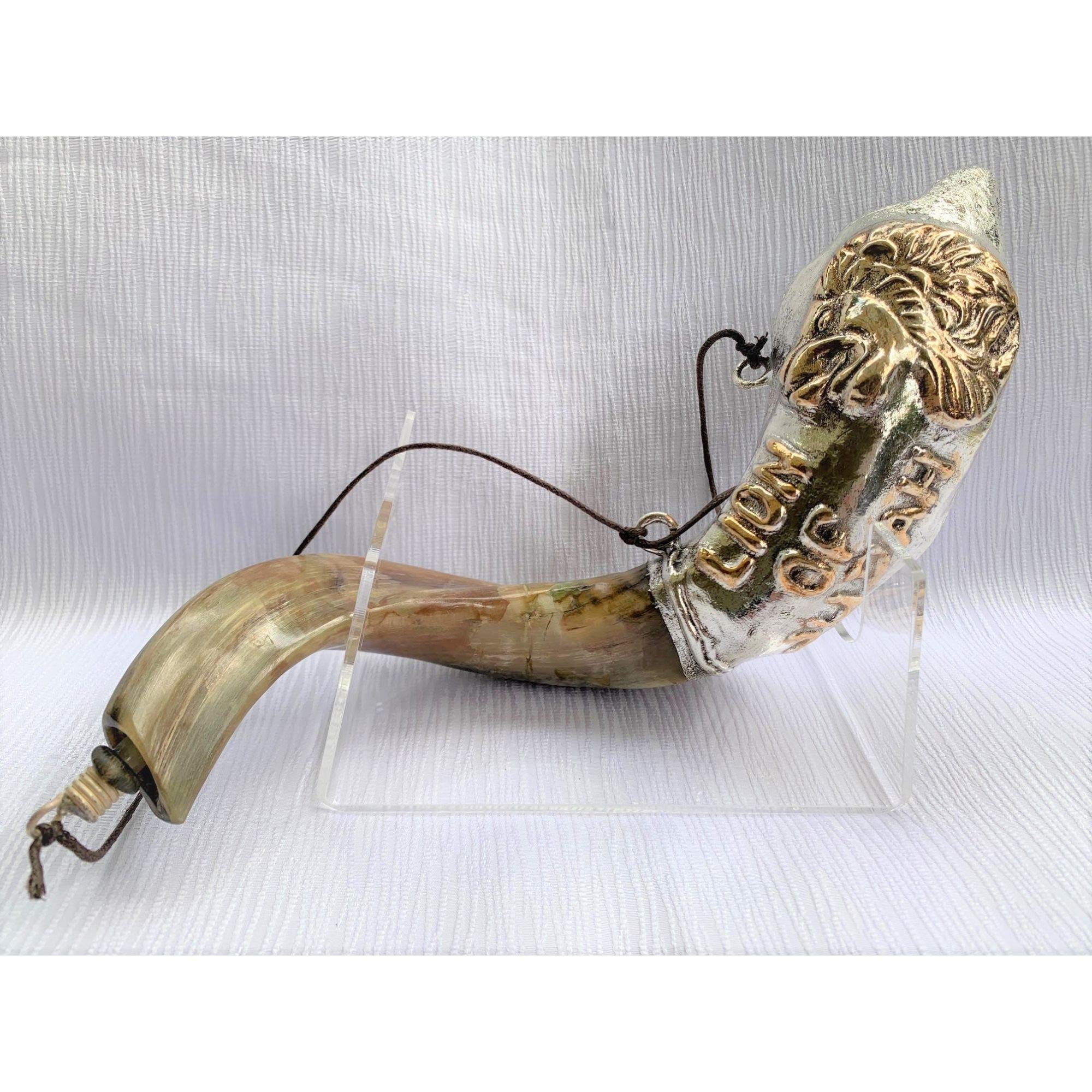 Amaizing srebrny ram shofar 40 cm - 43 cm Mesjaniczny lew Judaha olej do smarowania rzadki