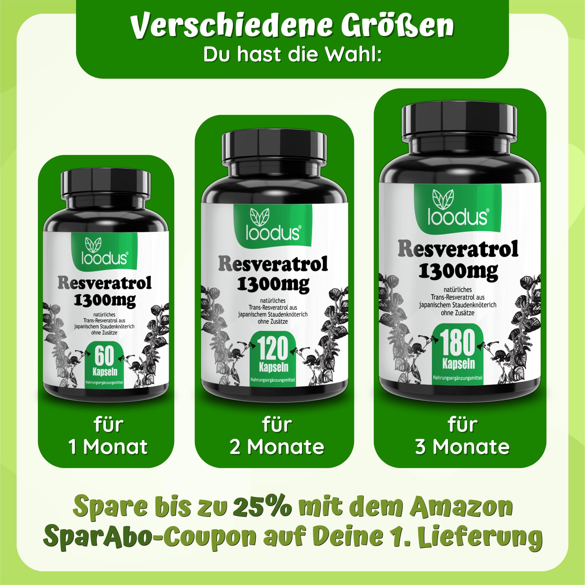 180 Trans-Resveratrol Kapseln hochdosiert - 100:1 Extrakt -1300mg pro Tag