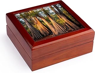 3dRose USA, Louisiana, Atchafalaya Basin, Pierce Lake, bald cypress, sunrise, Jewelry Box jb-189358-1