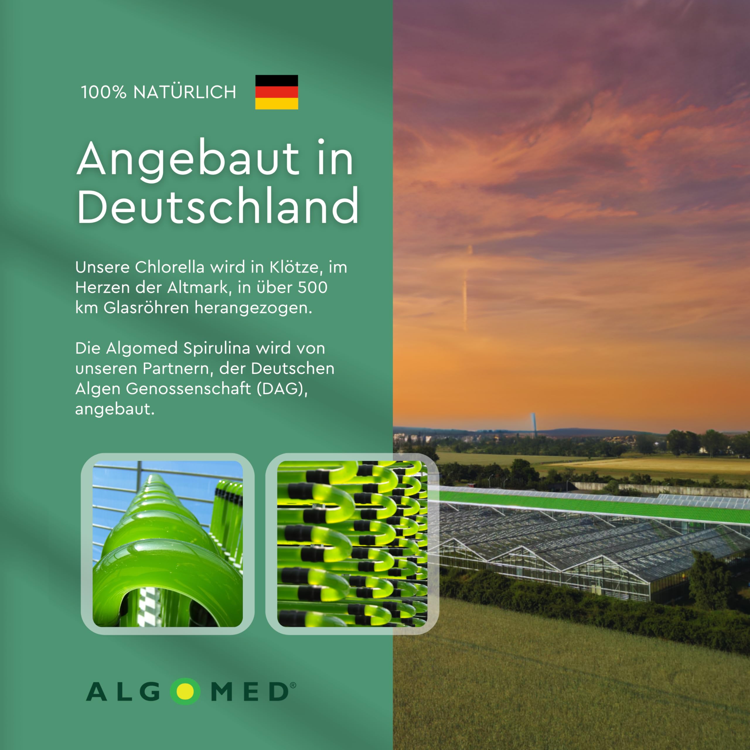 Spirulina Chlorella Tabletten aus Deutschland - ca. 583 Premium Presslinge - 100% rein, ohne Zusätze - laborgeprüft, kontrolliert & vegan - (1 x 175 g)