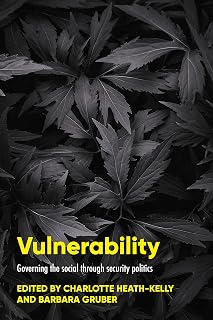 Vulnerability: Governing the social through security politics