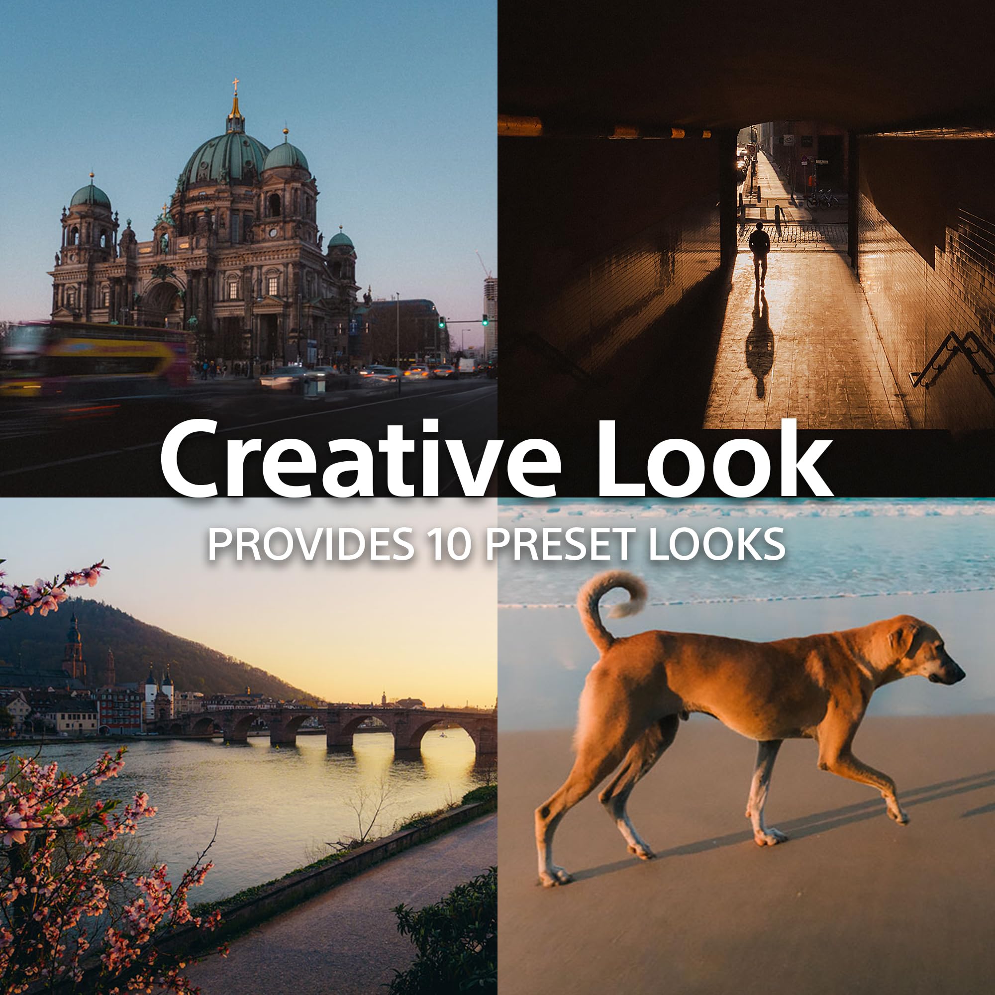 Sony ZV-1 II | Fotocamera da viaggio ibrida premium (sensore a strati da 1", grandangolo con zoom, foto da 20 MP e video 4K, trasferimento fluido sullo smartphone) | Fotocamera da viaggio ibrida premium, grandangolo con zoom, foto da 20 MP e video 4K, bla