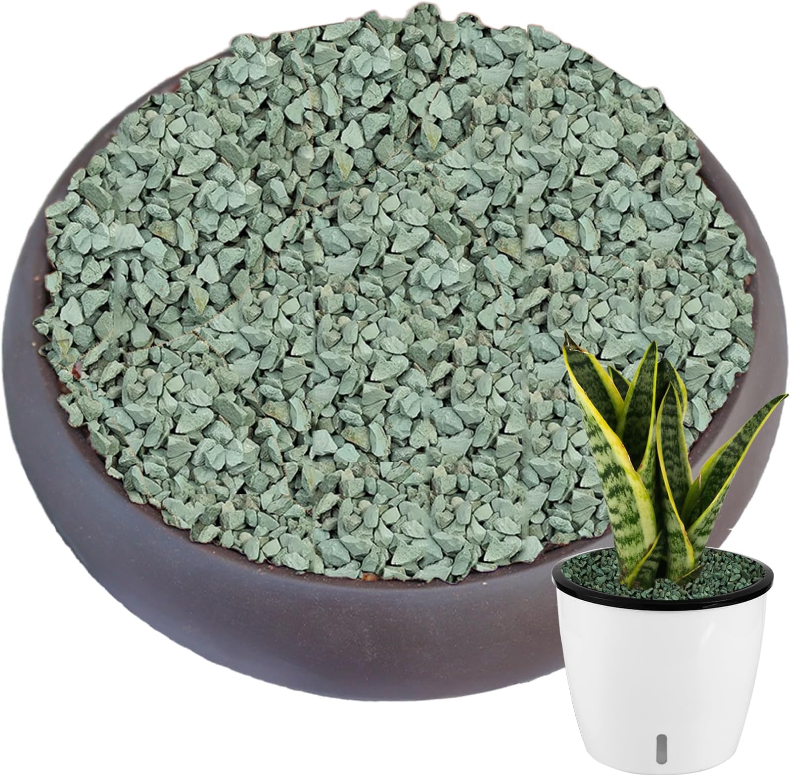 11 lbs Succulent and Cactus Bonsai Pebbles, 6-9mm Decorative Landscaping Stones Natural Garden Gravel Rocks for Indoor Outdoor Plants Aquariums DIY, and Gardening Top Dressing, Green Zeolite