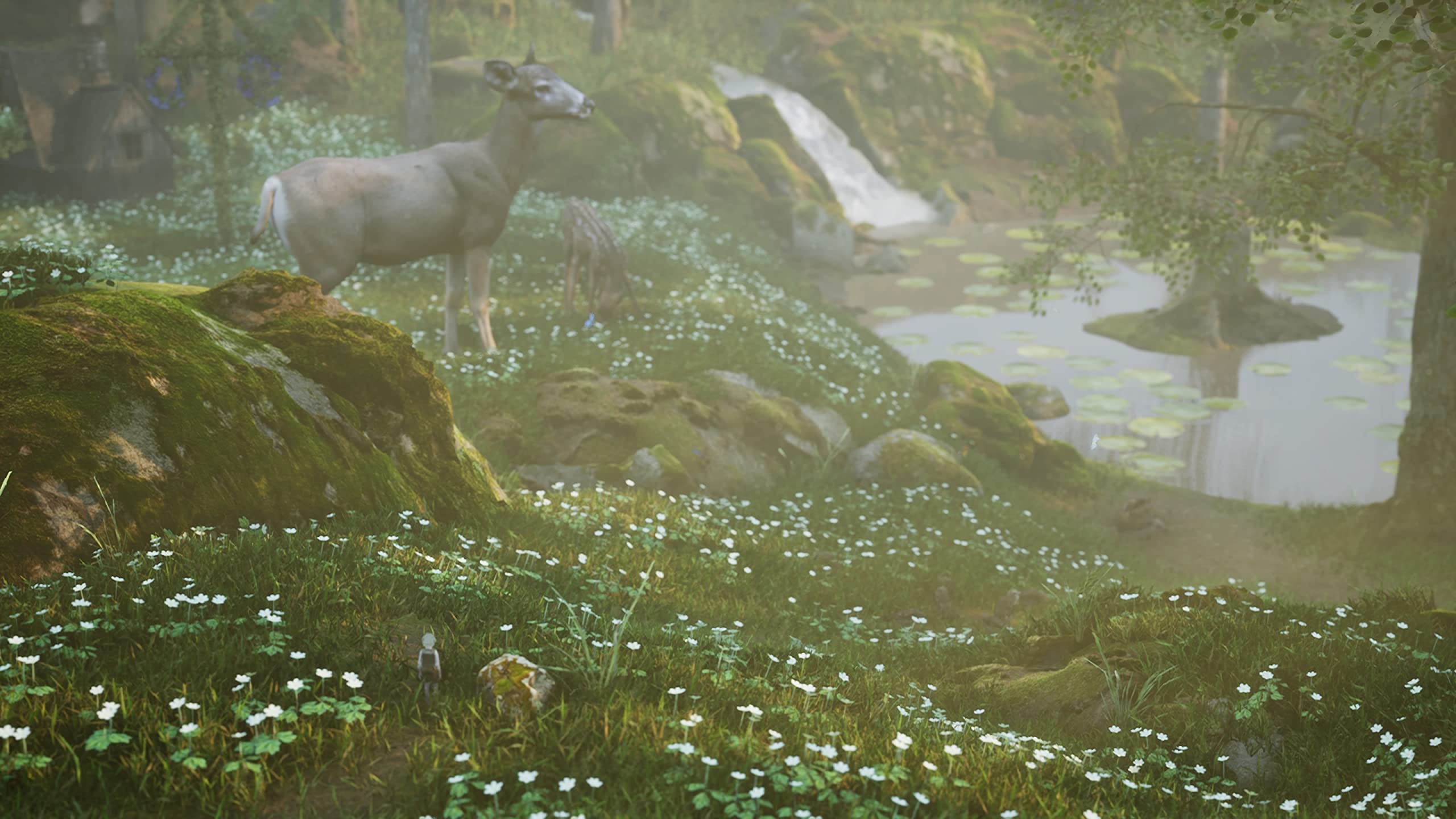 Amazon.co.jp: Bramble: The Mountain King(ブランブル: ザ 