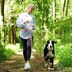 VIVAGLORY Hands Free Dog Leash Bungeetwin Running Dog Leash with Waist Belt for Running Walking & Jogging, Bungee & Around Waist for Pet, M, Pink/Grey