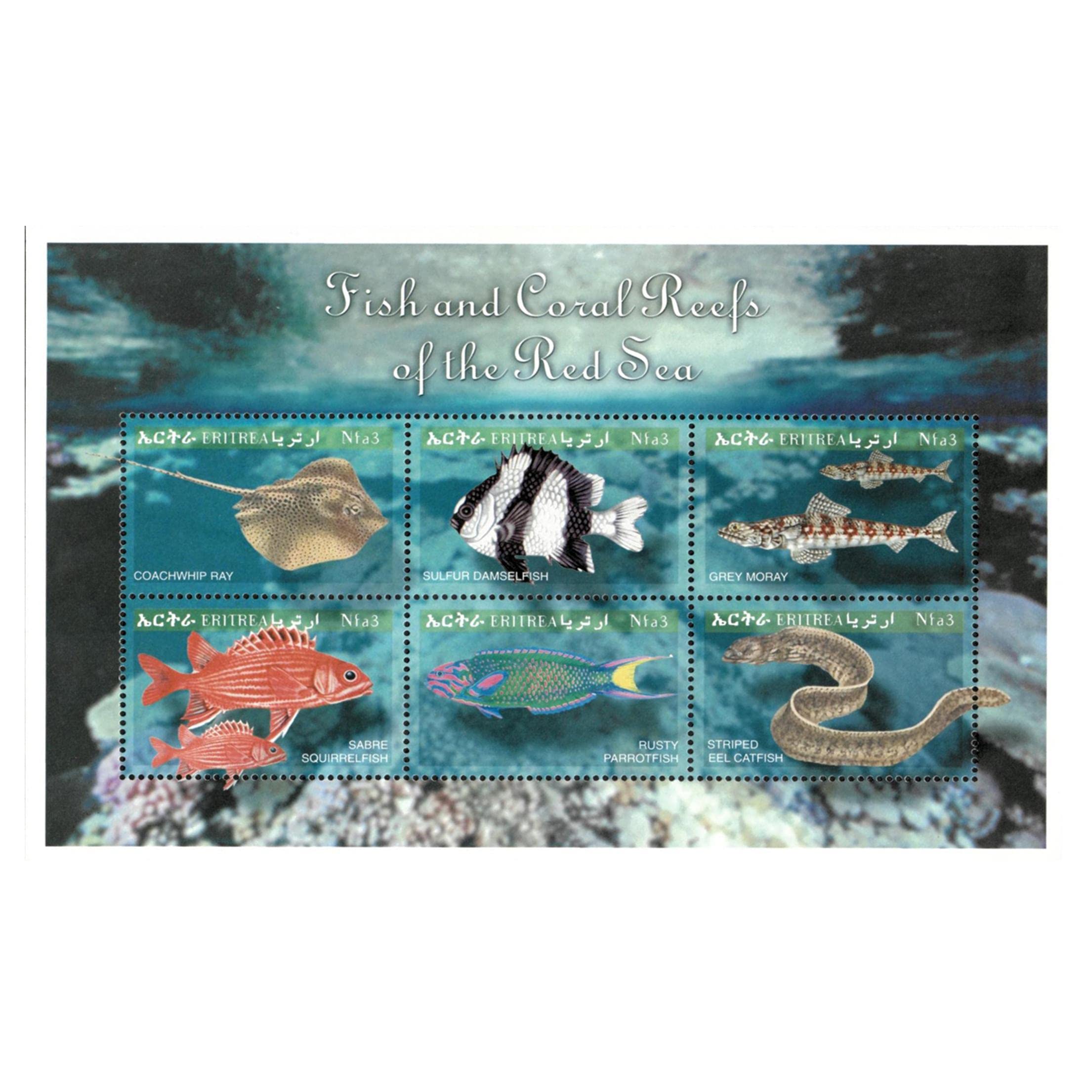 Eritrea Fish Sheetlet II | Fish Collectible Mail & Postage Stamps from 2000 | Scott 332 | Famous & Rare Postal Stamp & Mailing Merchandise Gift for Collectors & Memorabilia Enthusiast
