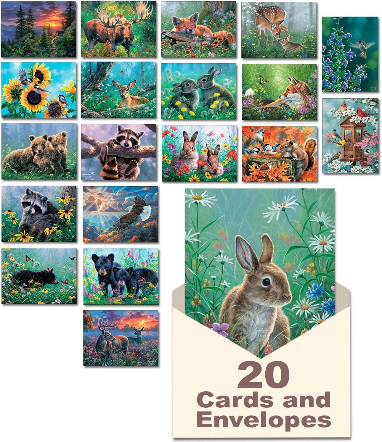 Leanin' Tree, Nature's Wonders, Greeting Cards Assortment