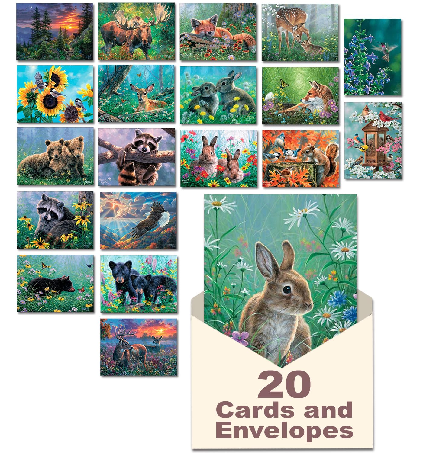 Leanin' Tree, Nature's Wonders, Greeting Cards Assortment Box, Assorted Cards with Envelopes, All Occasion, 20 Cards, 22 Envelopes