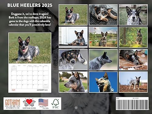 Vista 330 de Calendario Goldendoodle 2026 Golden Doodle mensual de pared calendario de 12 meses Fabricado en Estados Unidos