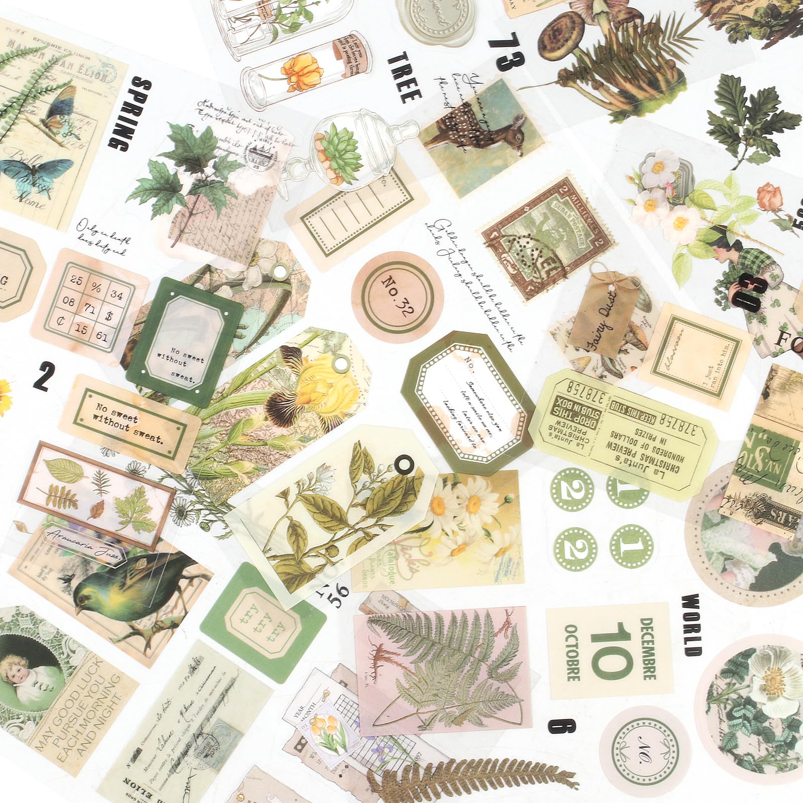 60 Adesivi PET Olografici Per Scrapbooking - Tema Ragazza Letteraria Con Album Organizer - 4