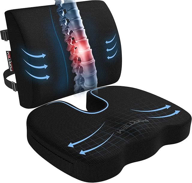 FORTEM Chair Cushion/Seat Cushion for Office, Lumbar Support for Chair, Car, Back Support Memory Foam Pillow Washable Cover (Black, Mesh)