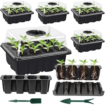 Pack of 5 Indoor Greenhouse Propagation Box 60 Cell Mini Greenhouse Propagation Set Reusable Seedling Starter Trays Greenhouse Plastic Propagation Trays with Lid Ventilation for Plants
