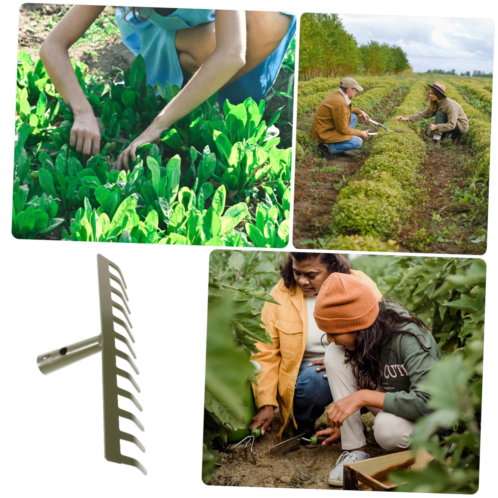 UKCOCO 3piezas Rastrillo De Jardín De Metal De Dientes Cabezal para Limpiar y Nivelar Suelo Herramienta De Jardinería Ergonómica para Huertos y Patios