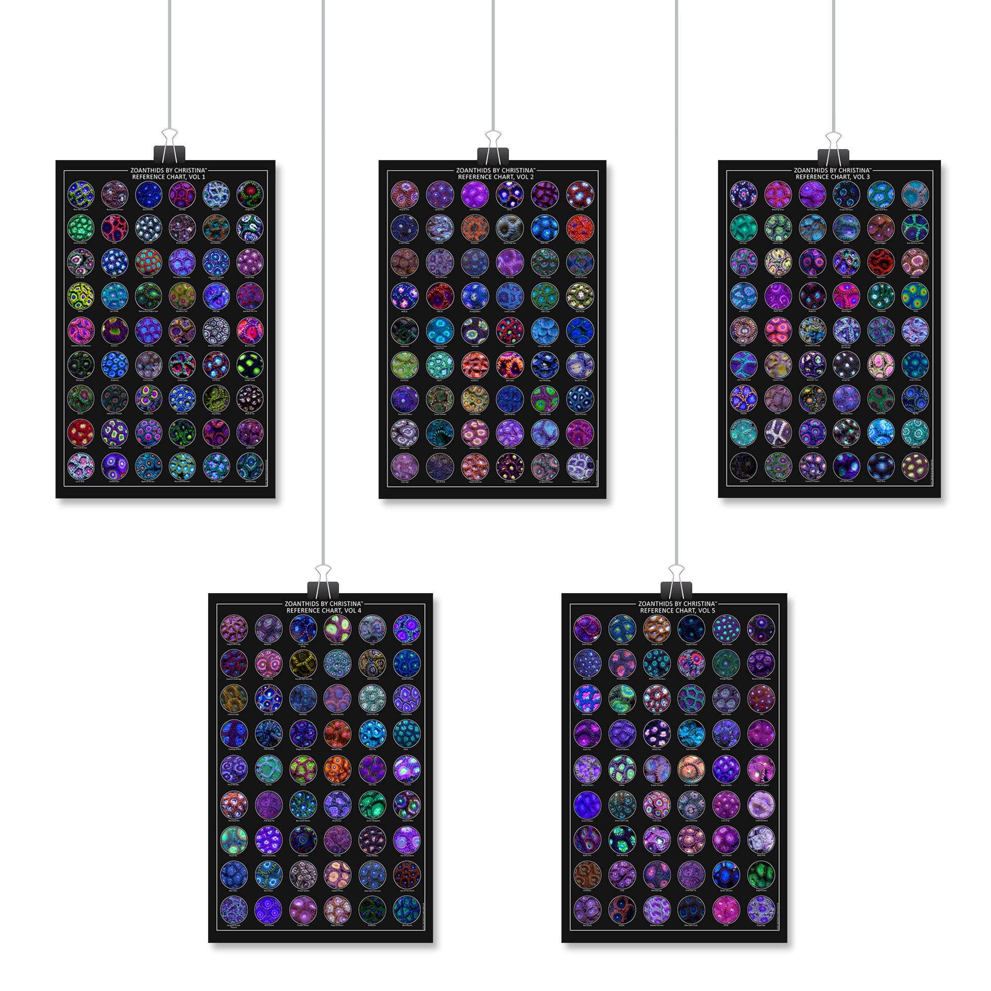 Ocean Inspired Coral Wall Art, Zoanthids by Christina VOL 1 - 5 - Zoanthid Reference Chart 24x36 Poster