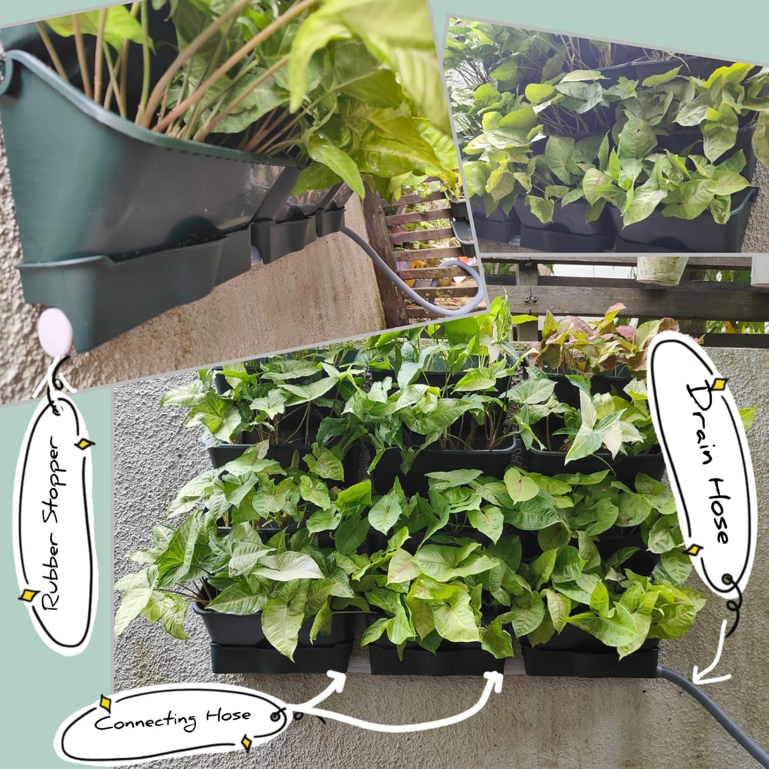 Maxona Vertical Wall Planter for Indoor Plant-Walls Mounted Pot with 2 Drainage Tray 8 Pack, 13 inch Dark Green for Indoors and Outdoor Decor, Plastic Pots Balcony Planters, Plants Hanging