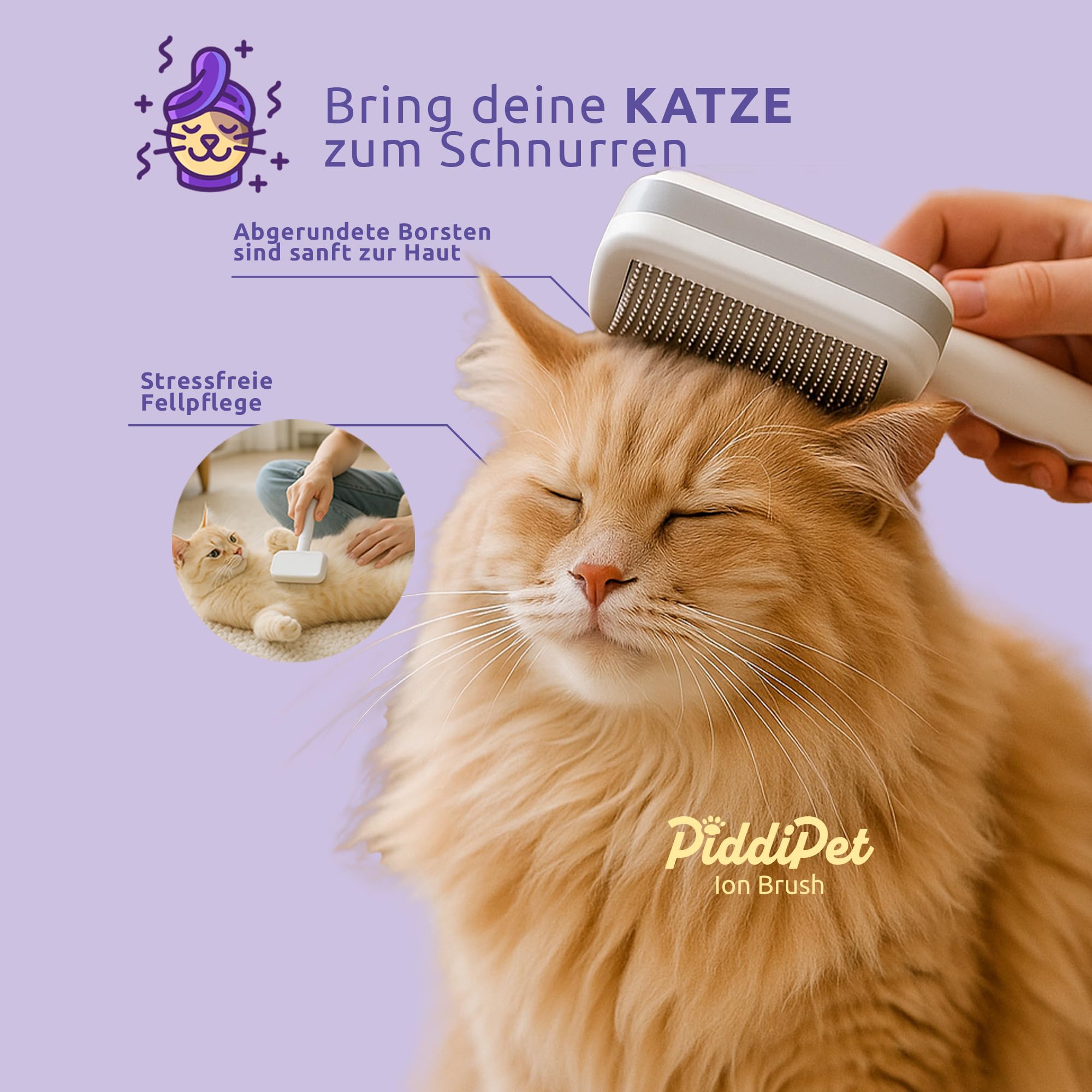PiddiPet Tierhaarbürste IonBrush ⋆ Lehner Versand