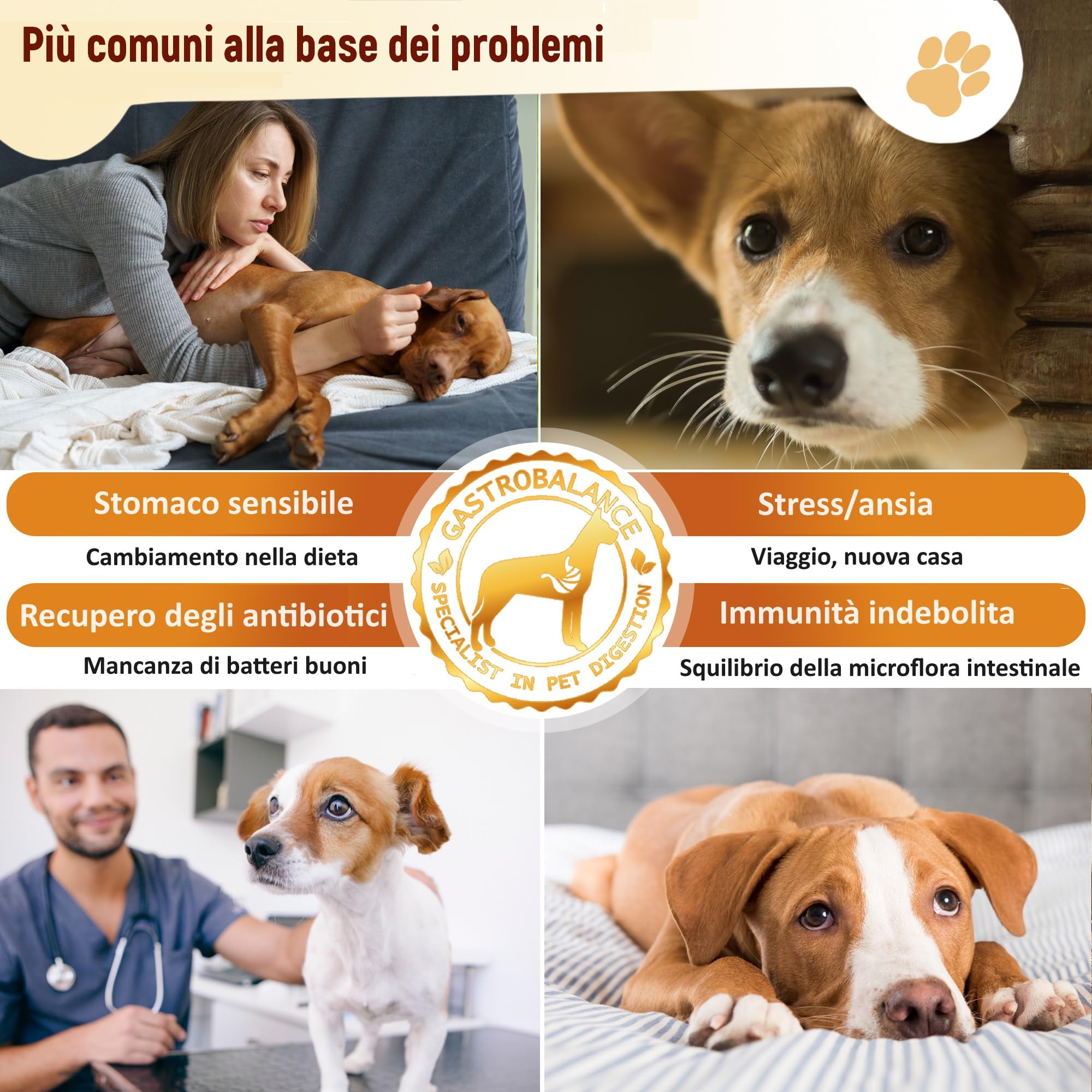 cani probiotici – 60 bocconcini masticabili naturali prebiotici e probiotici per Cane - Sapore di Pollo (Italiano)