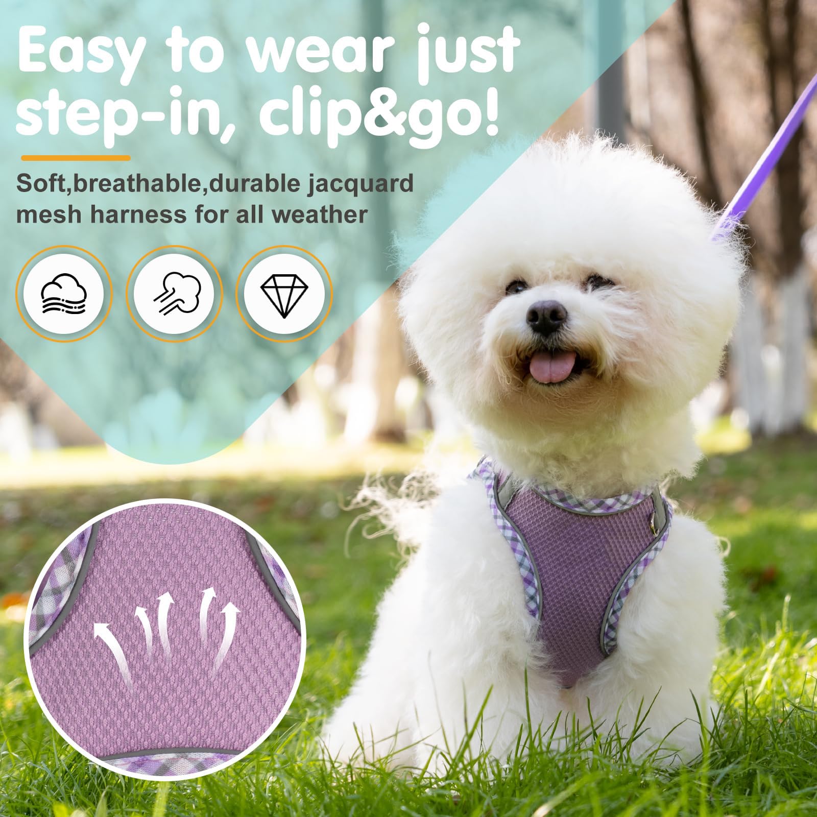 Dog Harness and Leash Set,Step-in Air Dog Vest, Reflective, No Pull Collarsfor Small, Medium Dogs, Cats - Image 4