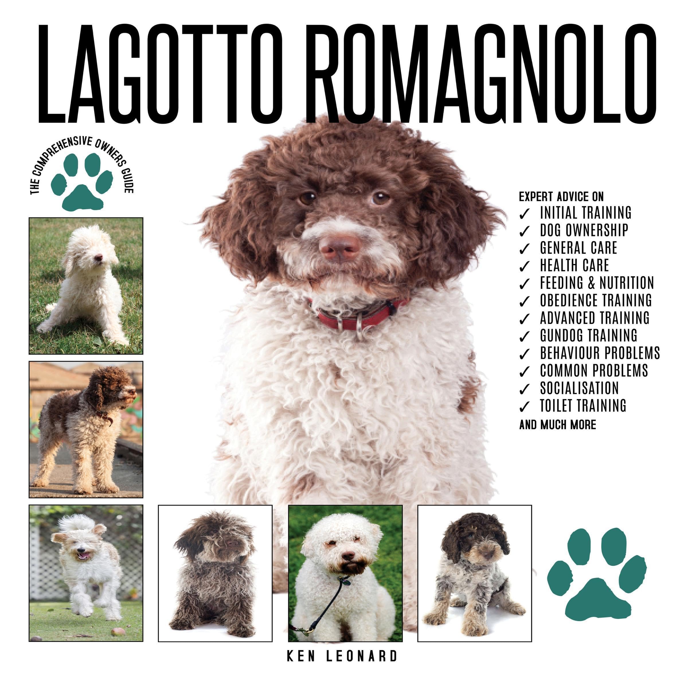 Lagotto Romagnolo