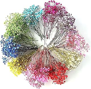 Amazon Co Jp かすみ草 ドライフラワー