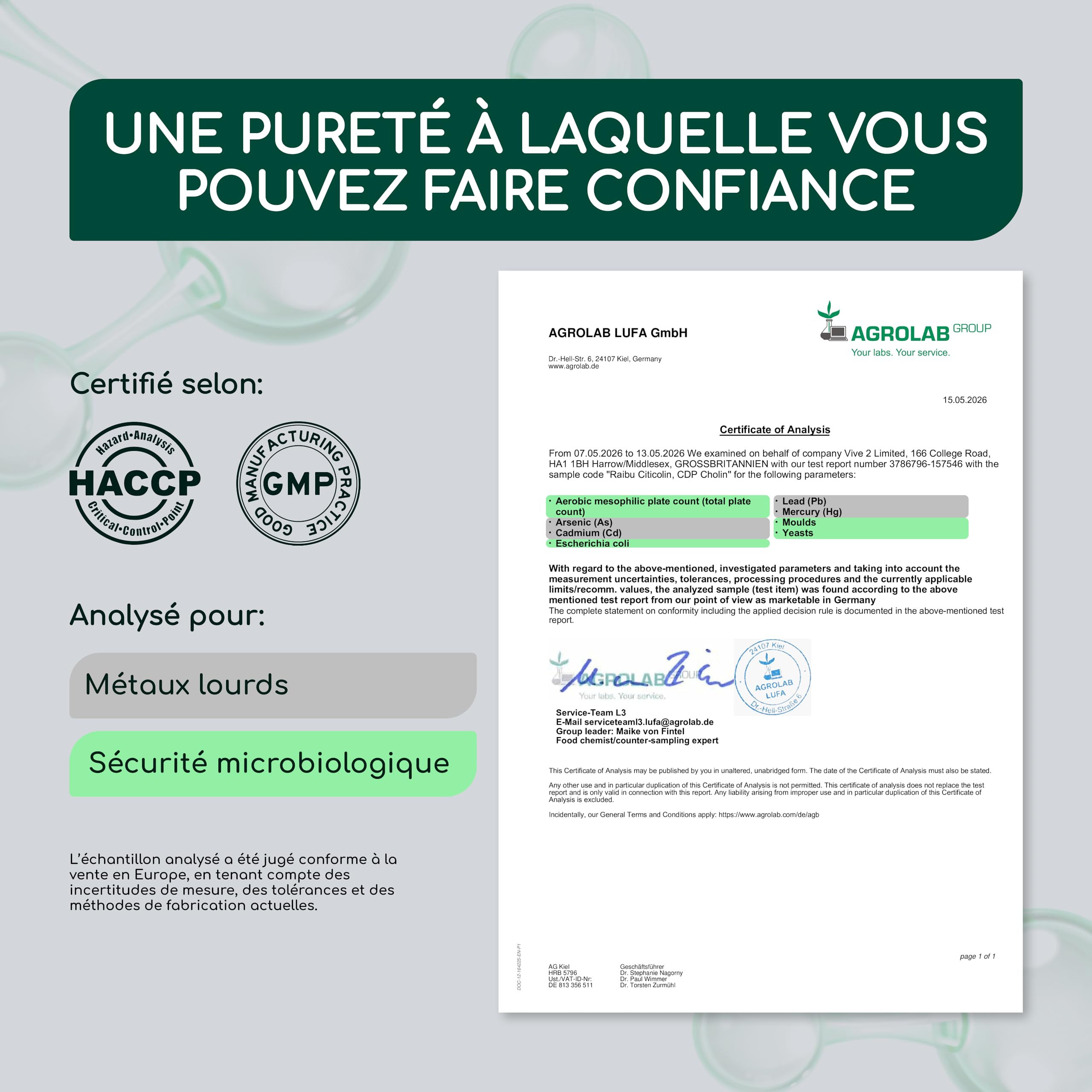 CDP-Choline (Citicoline) 500 mg - Cure de 4 Mois, 1 Gélule par Jour - Forme Bioactive de Choline - 120 Gélules de Citicoline - Sans OGM, Sans Additifs, Végan, Testé en Laboratoire