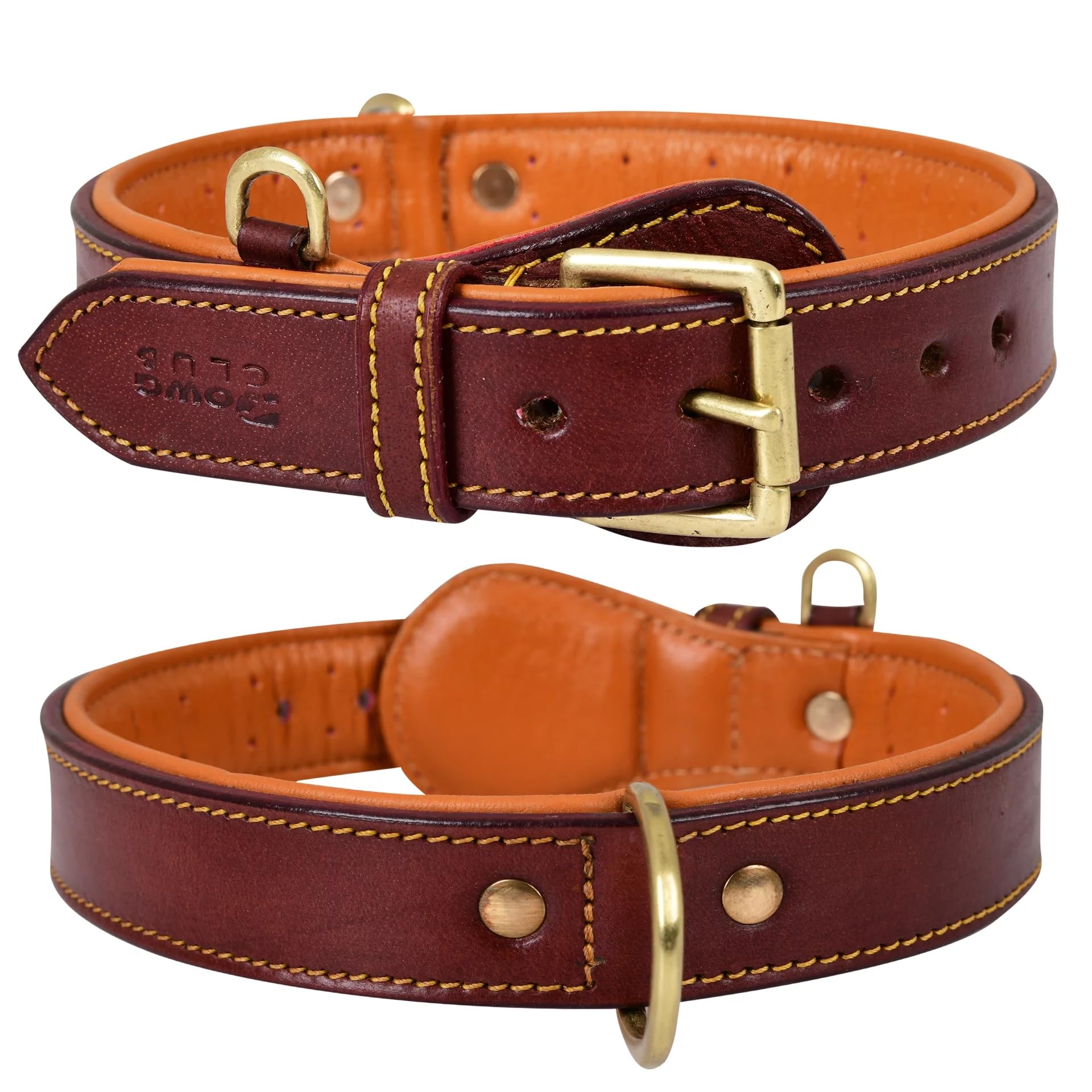 DowgClub Genuine Leather Dog Collar – Full Grain, Breathable Inner Padding, Padded Buckle – Heavy Duty, Adjustable for Small, Medium, Large & XL