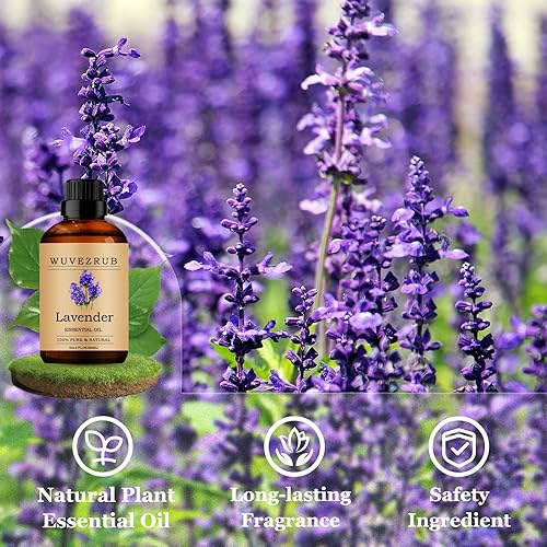 Miniatura 80 de Aceites esenciales de sándalo de 8.1 fl oz, aceite esencial puro de sándalo para difusor de aromaterapia, 8 onzas líquidas