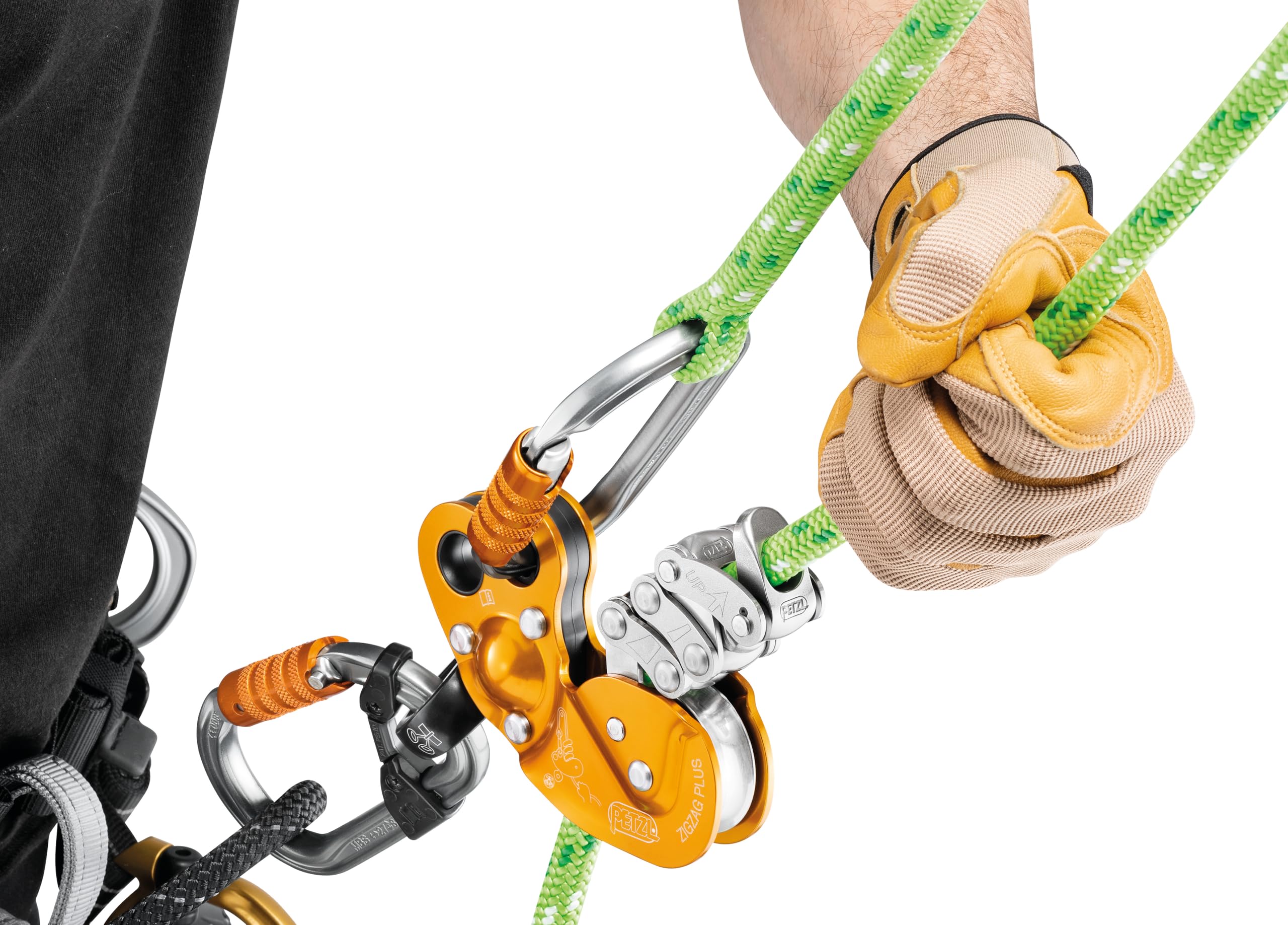 Amazon | ペツル PETZL ジグザグプラス ディセンダー ツリー