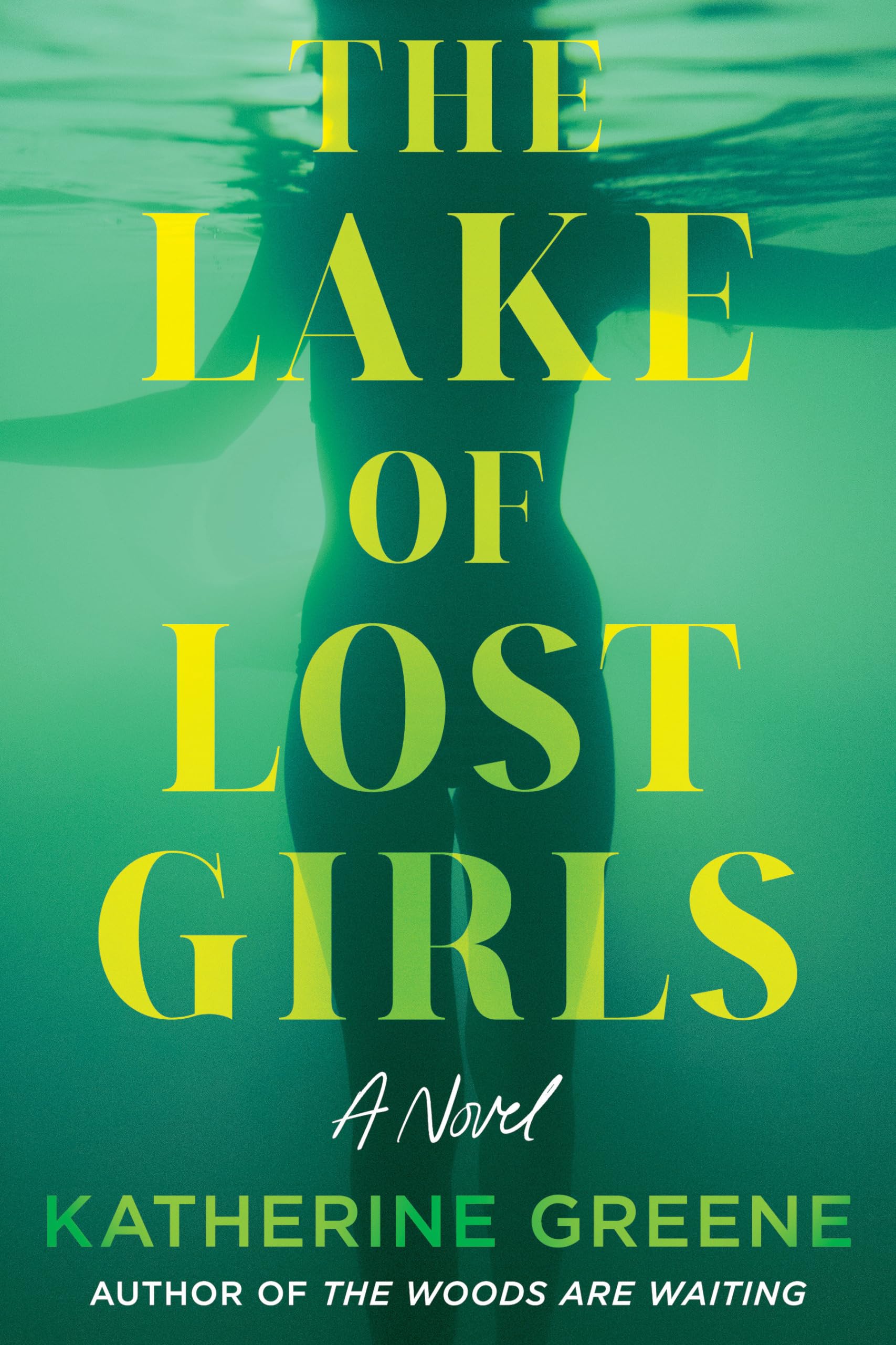 The Lake of Lost Girls A Novel