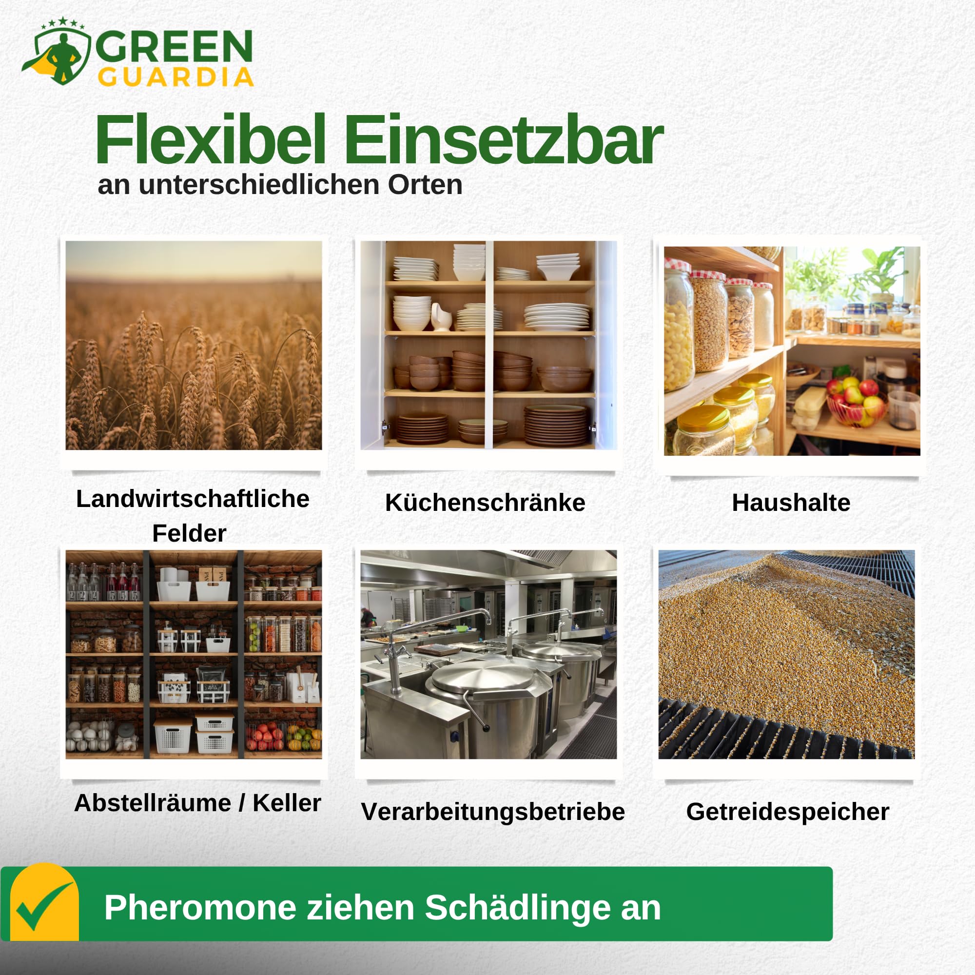 GREEN GUARDIA Kellerasseln Falle mit Pheromon-Lockstoff - 10x Fallen - umweltfreundlich Ungeziefer bekämpfen, Chemiefreie Pheromonfalle mit austauschbaren Klebeflächen, giftfrei und geruchsneutral