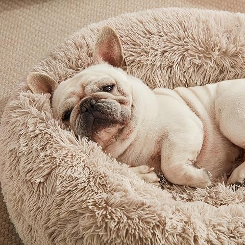 Miniatura 6 de Love's cabin, Cama para gatos de interiores con base lavable con lavadora, resistente al agua, cojín suave para perro y gato para alivio de