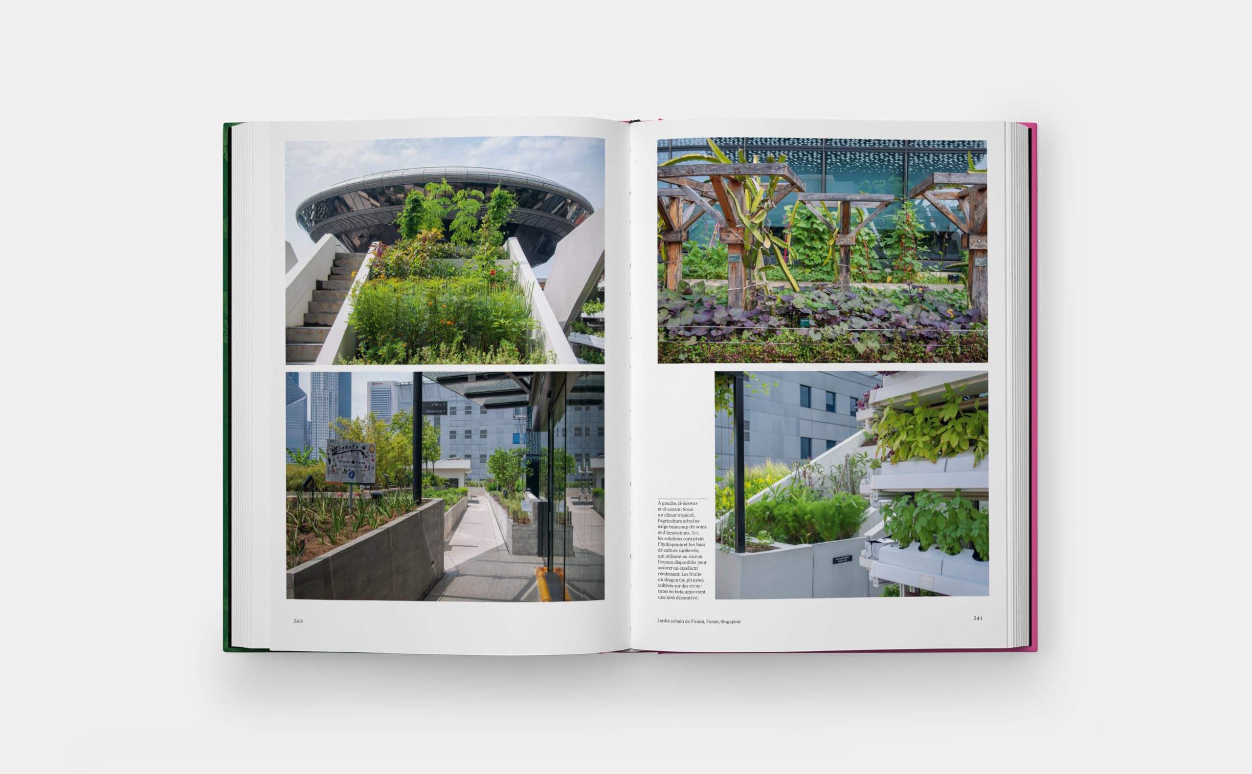 Jardins Potagers
