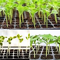 Vista 6 de Halatool Paquete de 5 bandejas de iniciación de semillas negras con cúpula de humedad, bandejas de inicio de semillas reutilizables, kit