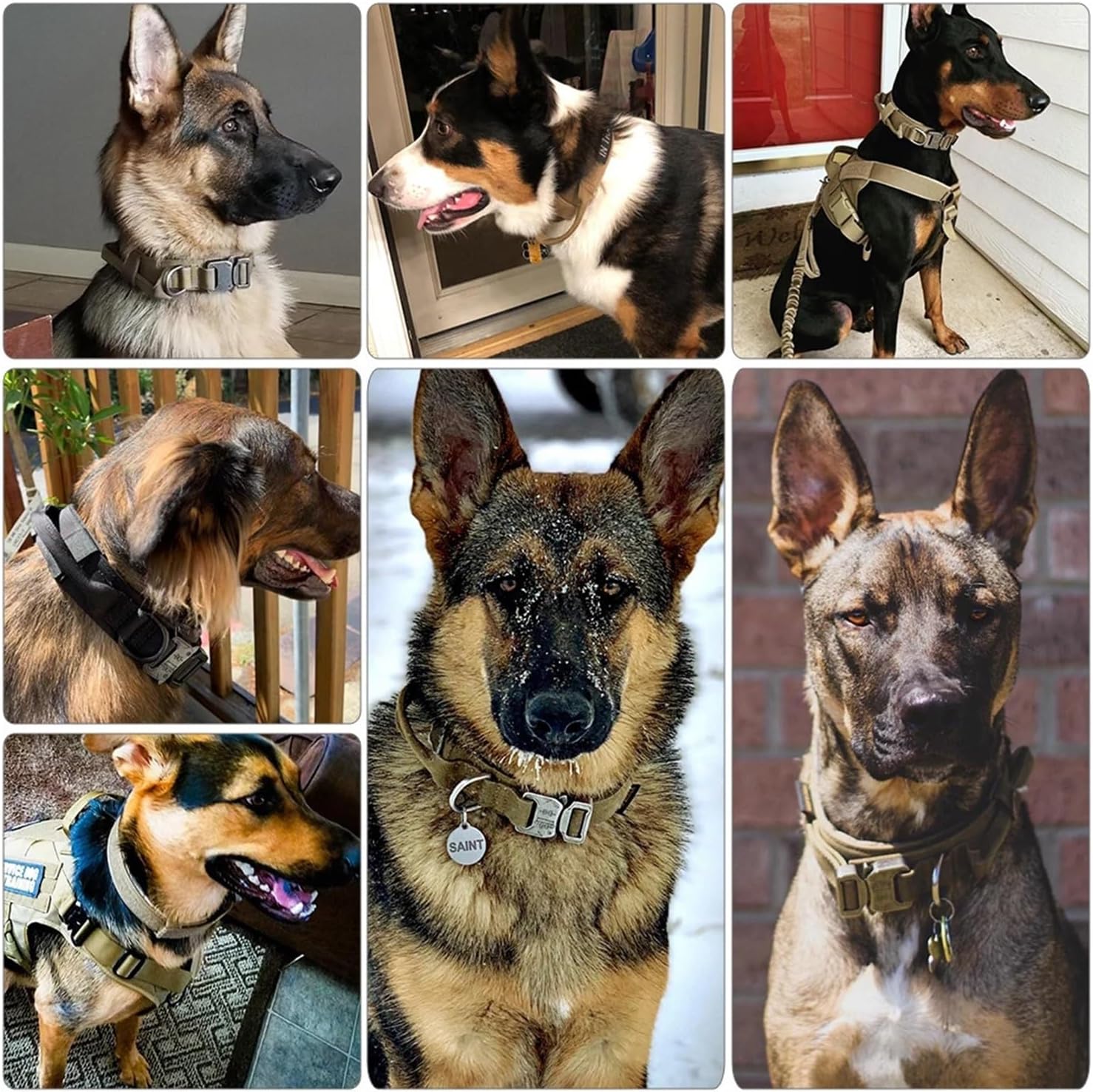 Dog Training Collar Adjustable Tactical Collar and Leash Set Control Handle Pet Lead Collar Compatible with Small Big Dogs(Pink Set,M)