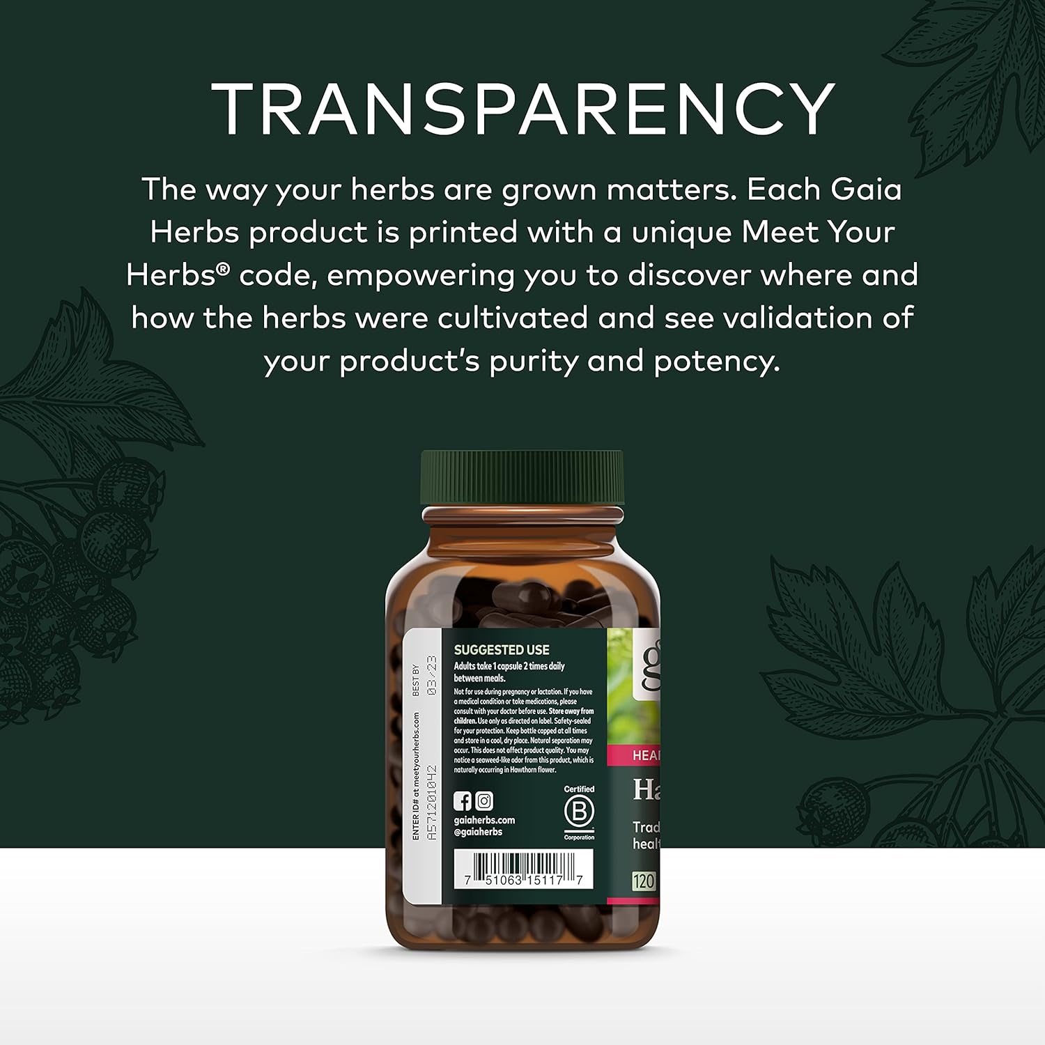 Gaia Herbs Hawthorn Supreme - Hawthorn Berry Supplement to Support Heart Health - for Use at Every Age and Stage to Sustain and Support The Heart - 60 Vegan Liquid Phyto-Capsules (30-Day Supply) : Health & Household