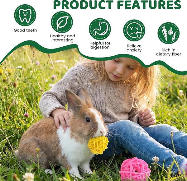 Juego de 21 juguetes de conejo, juguete natural para conejos de indias, hámster, chinchillas, palillos de madera de manzana para animales pequeños, cuidado dental - 4