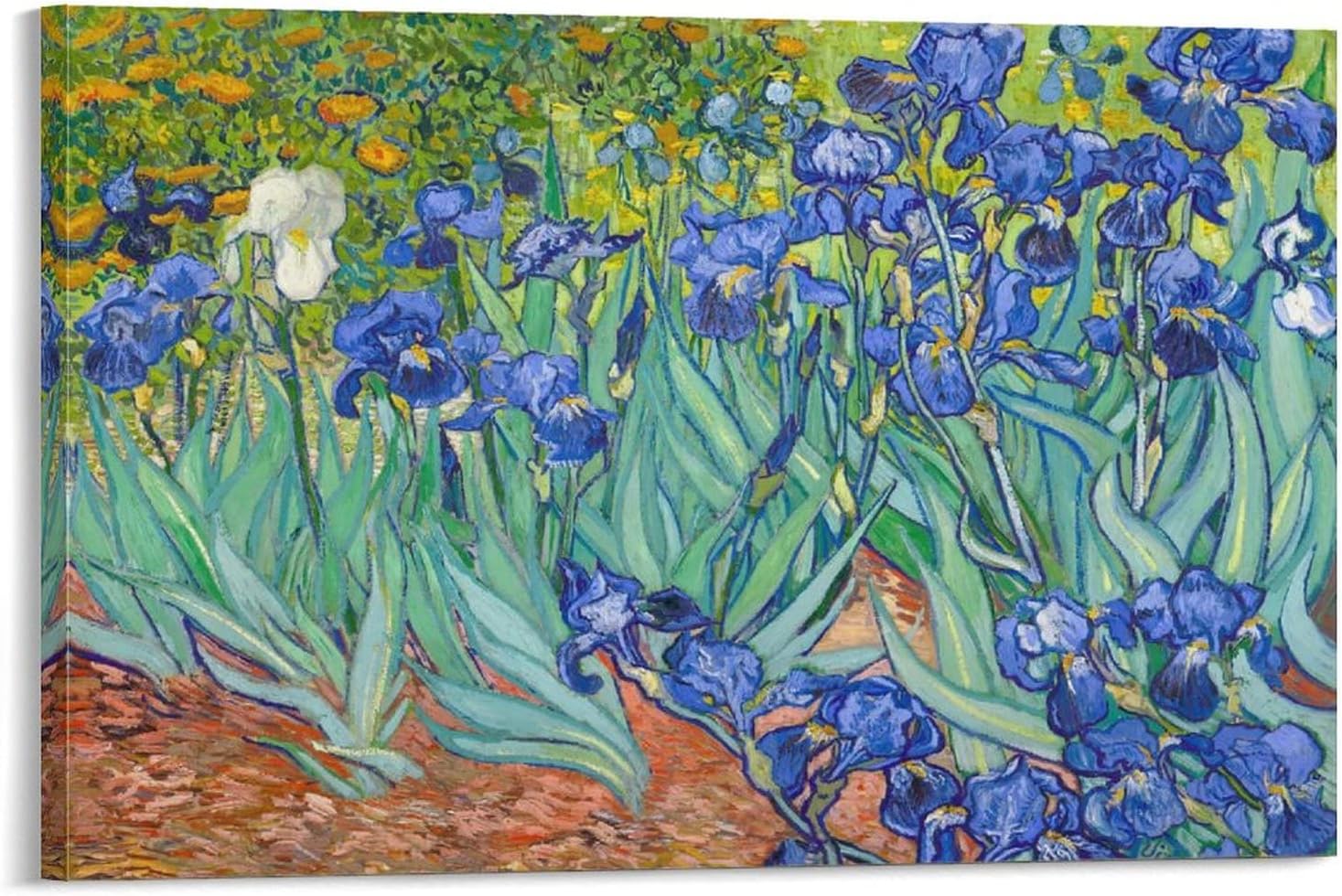 Irises in The Garden Poster Decorative Painting Vincent Classic Canvas Wall Art Living Room Decor Posters Prints 12x18inch(30x45cm), Ready to Hang